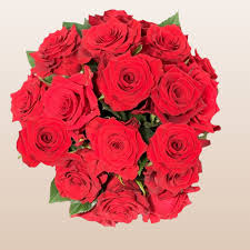 Image result for Red Rose Cc
