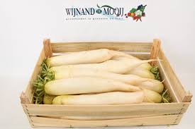 Image result for Rettich