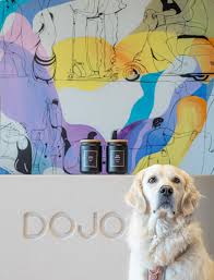 Image result for Bristol Temple Gate Dojo