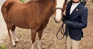 Image result for Huntingdon and District Riding Club
