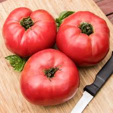 Afbeeldingsresultaat voor prudence purple tomato