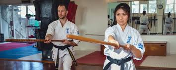 Image result for Aylesbury Vale Seido Karate