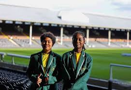 Image result for Beecholme Fc