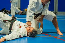 Image result for Bournemouth Shorinji Kempo Club