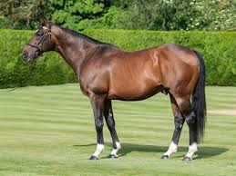 Image result for Haydock Hunters Speedminton Club