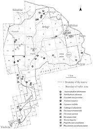 Attēlu rezultāti vaicājumam “Campylophyllum sommerfeltii”