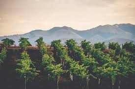 Image result for Stroud Valley Sac