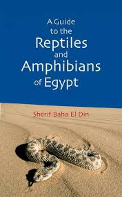 Image result for Reptilian egypt