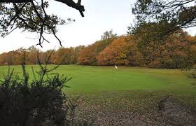 Image result for Wimbledon Common Golf Club