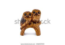 Attēlu rezultāti vaicājumam “Strigiformes”