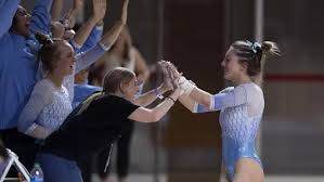 Image result for Breckland Forest Gymnastics Club 2004