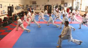 Image result for Bristol Karate Club
