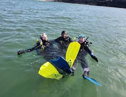 Image result for Splash Divers Sub Sub Aqua Club