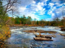 Image result for Blakeney Badminton Club