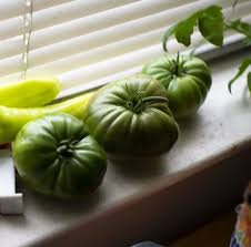 Afbeeldingsresultaat voor black brandywine tomato