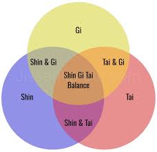 Image result for Ji Shin Do Karate