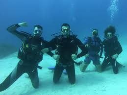 Image result for Seaquest Divers