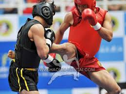Image result for Southgate T`ai Tsung Chinese Boxing