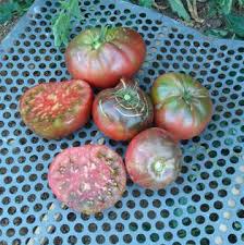 Afbeeldingsresultaat voor black brandywine tomato
