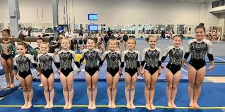 Image result for Ruxley Gymnastics Club