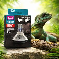 Risultati immagini per arcadia basking solar flood