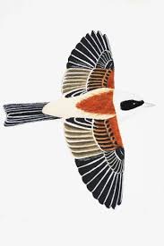 Attēlu rezultāti vaicājumam “Remiz pendulinus”