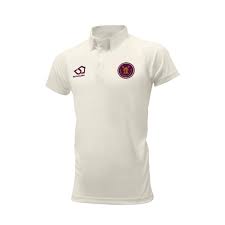 Image result for All Cannings Cricket Club