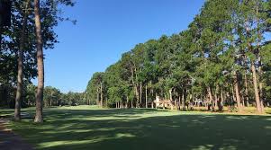 Image result for Dolphina Gc