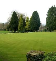 Image result for Grove Park Bowling Club