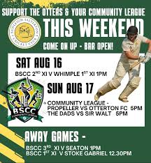 Image result for Budleigh Salterton Cricket Club