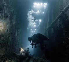 Image result for Exe To Sea Diving