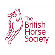 Image result for British Horse Society