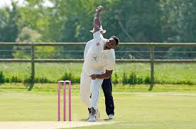 Image result for Aston Ingham Cricket Club