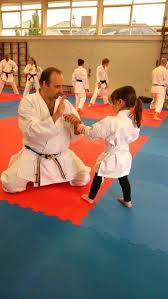 Image result for Newport Kyokushin Karate Club