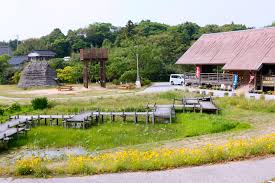 Image result for 土井ヶ浜遺跡　視線　故郷