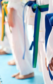 Image result for Southill Karate Club