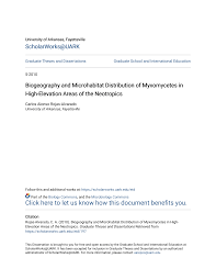 Attēlu rezultāti vaicājumam “Badhamiopsis scripta sessile”