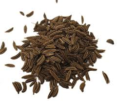 Attēlu rezultāti vaicājumam “Carum carvi”