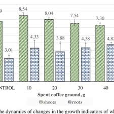Attēlu rezultāti vaicājumam “Bromopsis inermis fruit”
