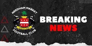 Image result for Needham Market Football Club