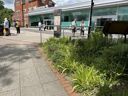 Image result for Basingstoke