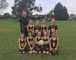 Image result for Ledbury Magpies Netball Club