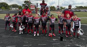 Image result for Hedingham Hawks Youth Football Club