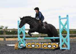 Image result for North Lammermuir Riding Club