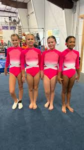 Image result for Horizon Team Gym Club