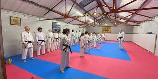 Image result for Caversham Karate Club SSKA