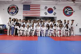 Image result for Kidderminster Tae Kwon Do Tigers