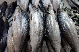 Image result for Chanos chanos