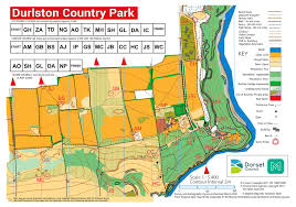 Image result for Wimbourne Orienteers