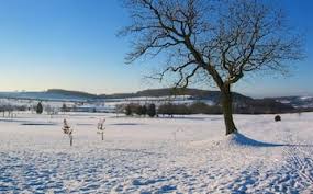 Image result for Frodsham Cc